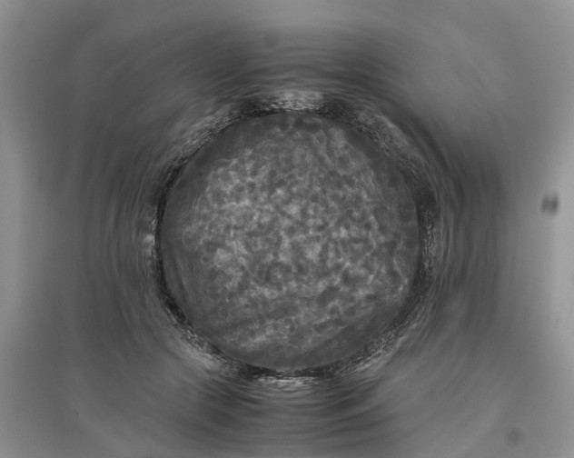 X0000097660553200803142134