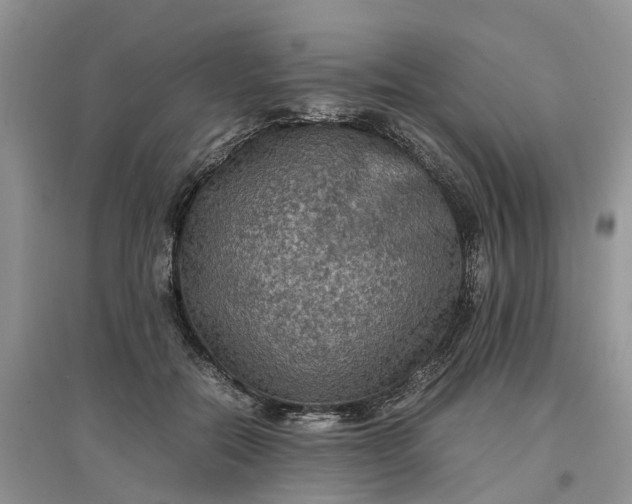 X0000097660554200803142134