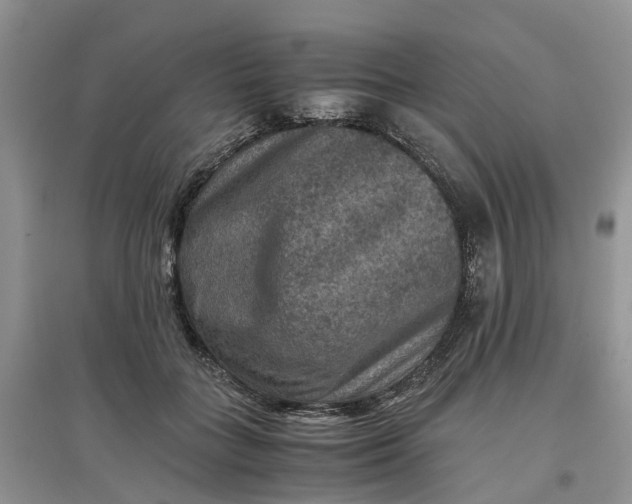 X0000097660555200803142134