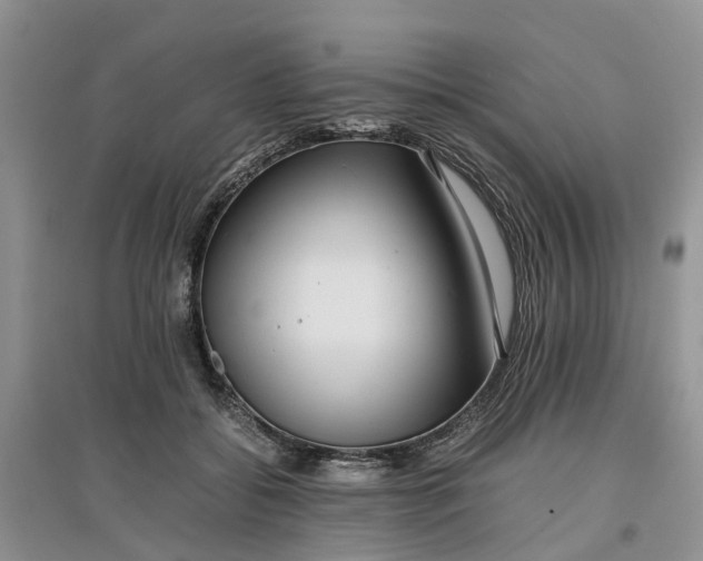 X0000097660556200803142134