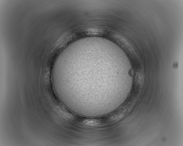 X0000097660557200803142134
