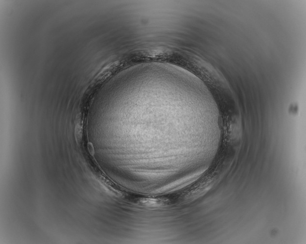 X0000097660558200803142134