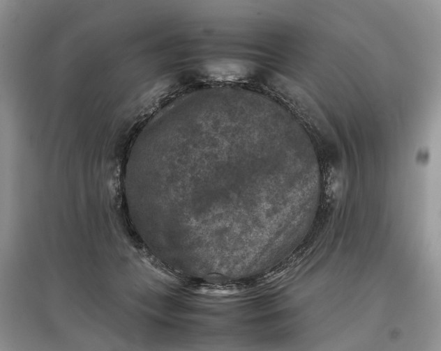 X0000097660559200803142134