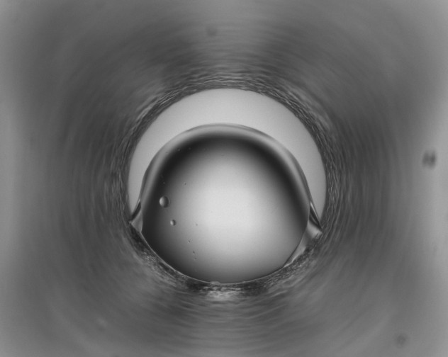 X0000097660560200803142134