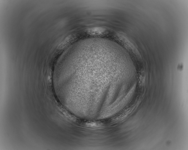 X0000097660561200803142134