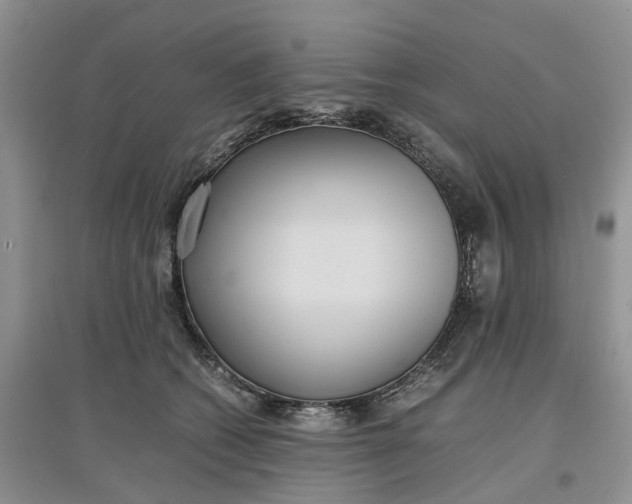 X0000097660562200803142134