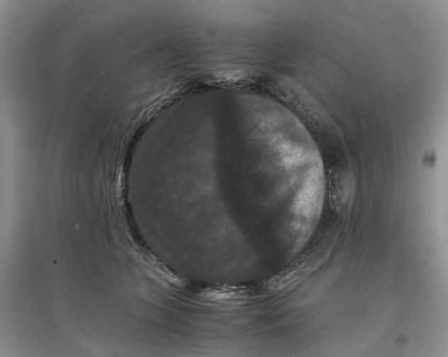 X0000097660563200803142134