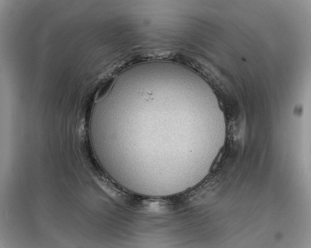 X0000097660564200803142134