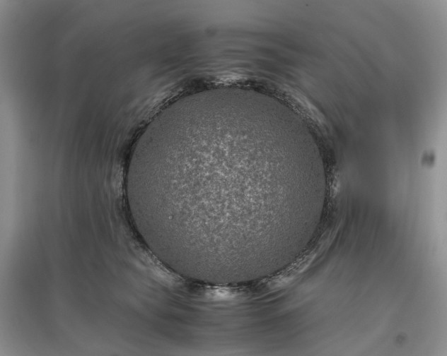 X0000097660565200803142134