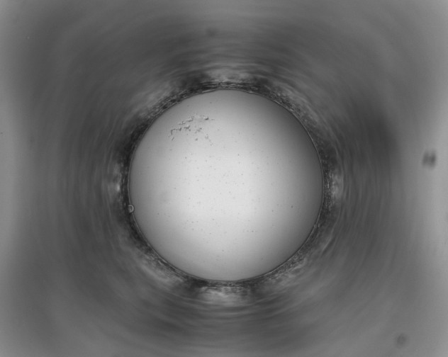 X0000097660567200803142134