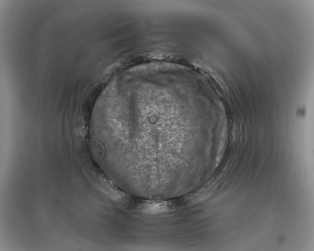X0000097660569200803142134