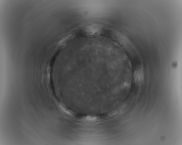 X0000097660570200803142134