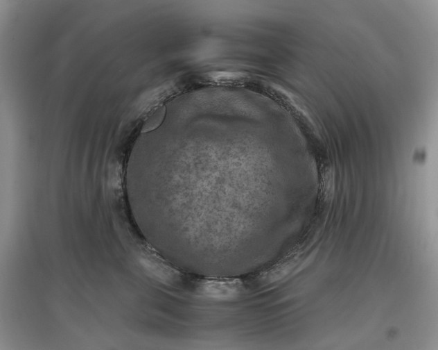 X0000097660571200803142135