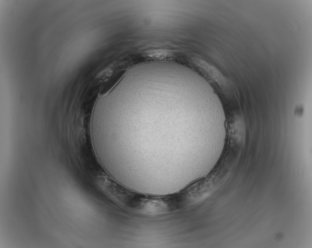 X0000097660572200803142135