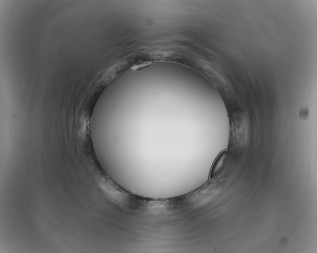 X0000097660574200803142135