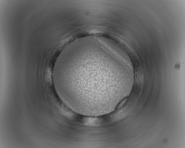 X0000097660575200803142135