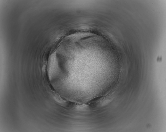 X0000097660576200803142135