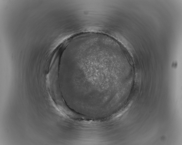 X0000097660577200803142134
