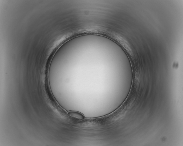 X0000097660578200803142134