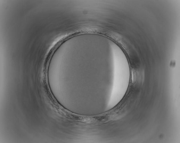 X0000097660579200803142134