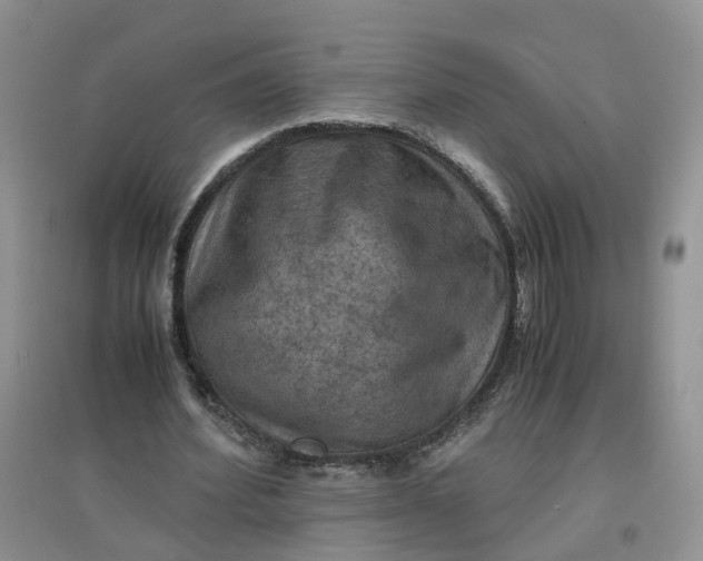X0000097660580200803142134