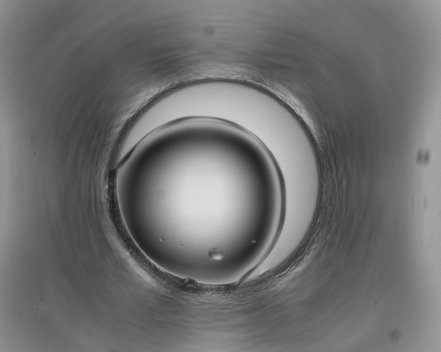 X0000097660581200803142134