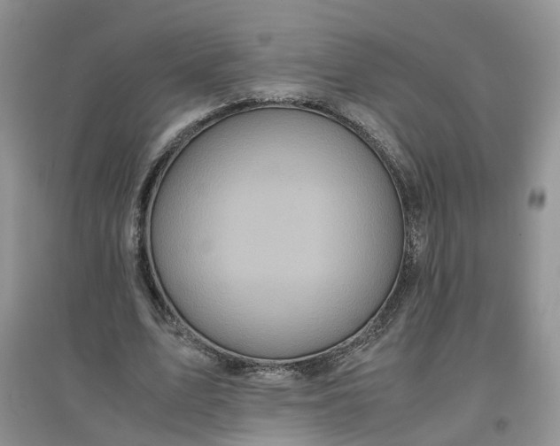 X0000097660583200803142134