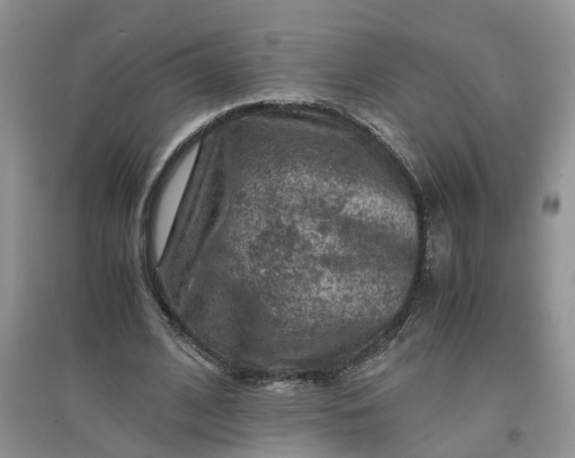 X0000097660584200803142134