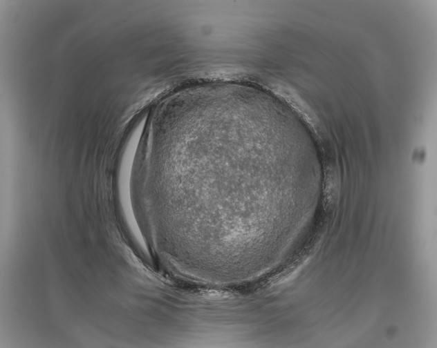 X0000097660585200803142134