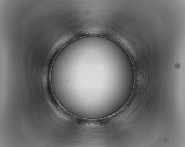 X0000097660586200803142134