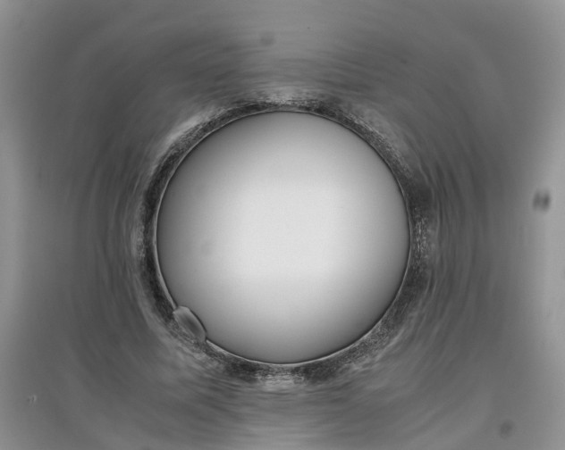 X0000097660587200803142134
