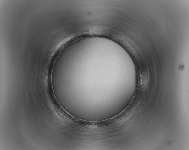 X0000097660588200803142134