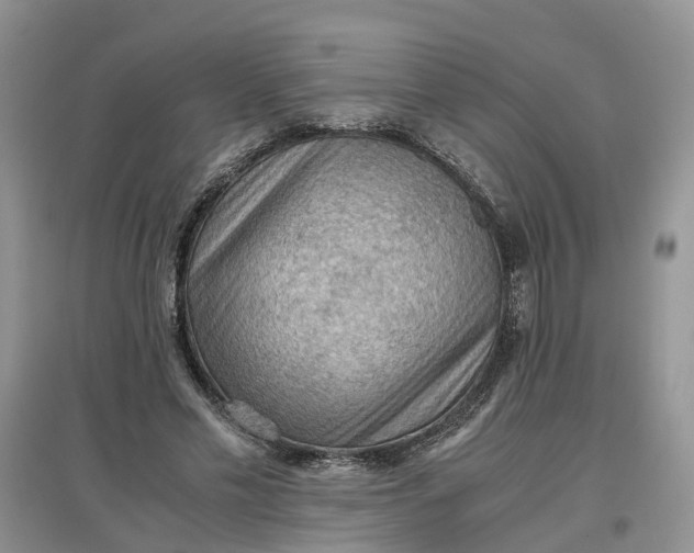 X0000097660589200803142134