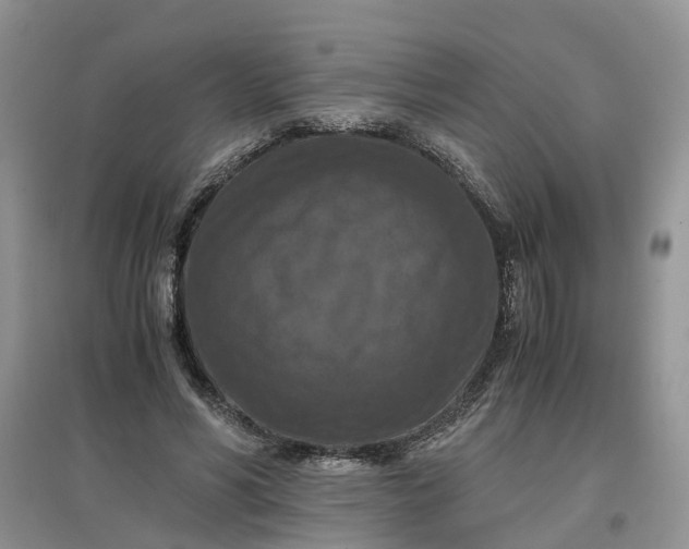 X0000097660590200803142134