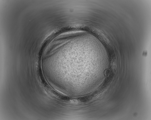 X0000097660591200803142134