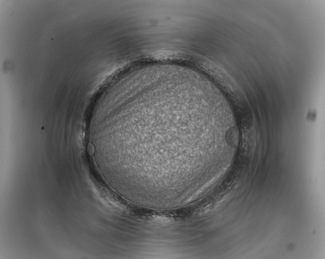 X0000097660592200803142134