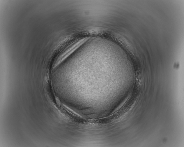 X0000097660593200803142134