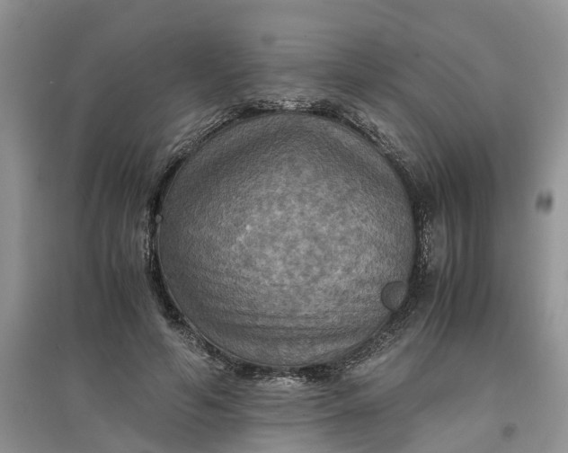 X0000097660594200803142134