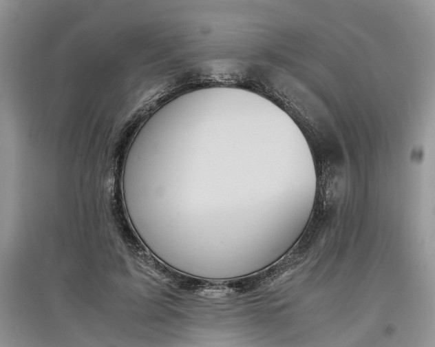 X0000097660595200803142134