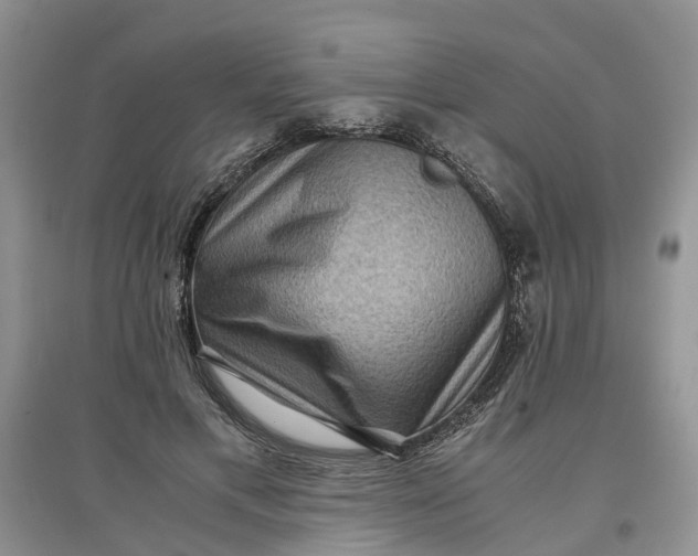 X0000097660597200803142134