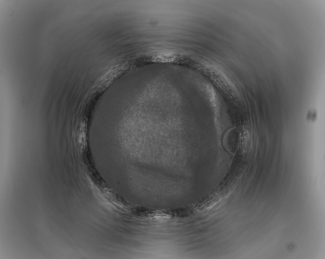 X0000097660598200803142134