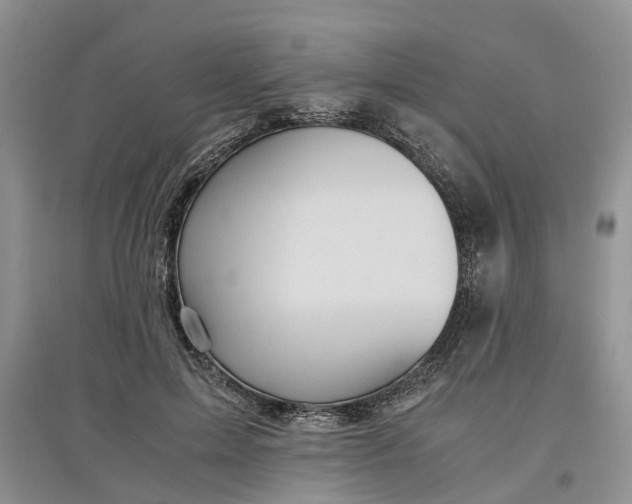 X0000097660599200803142134