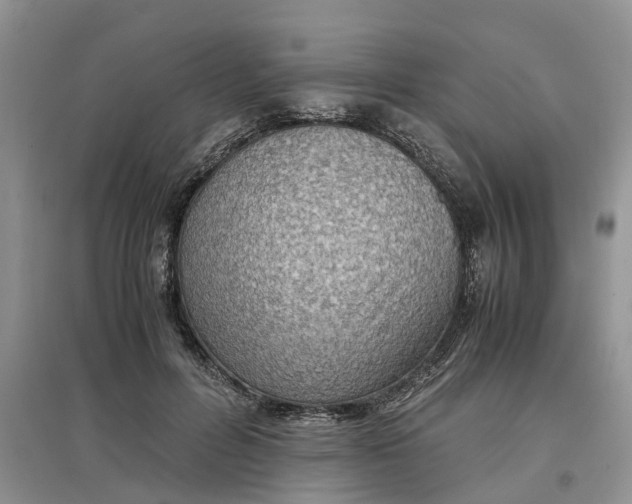 X0000097660600200803142134