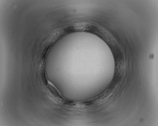 X0000097660601200803142134