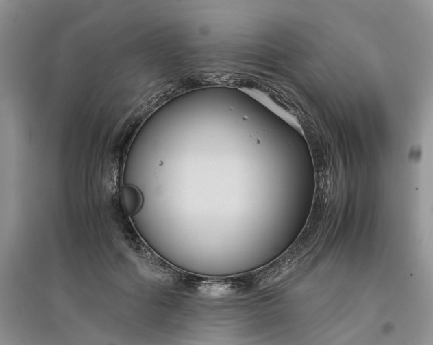 X0000097660602200803142134