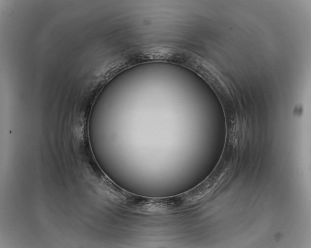 X0000097660604200803142134