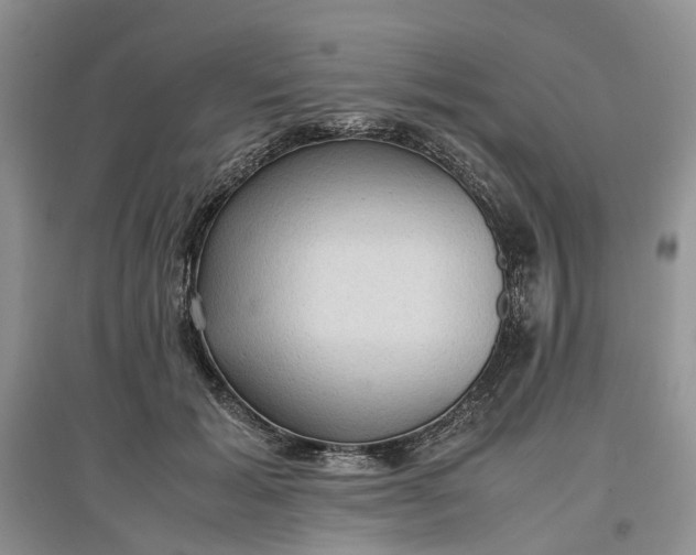X0000097660605200803142134
