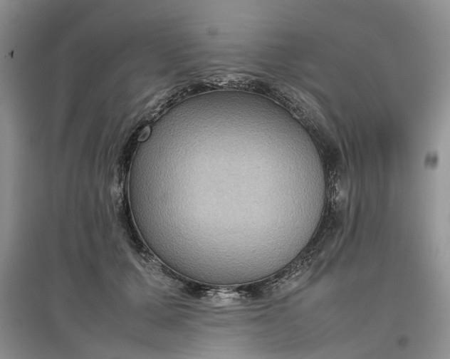 X0000097660607200803142134