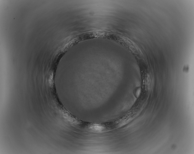 X0000097660610200803142133