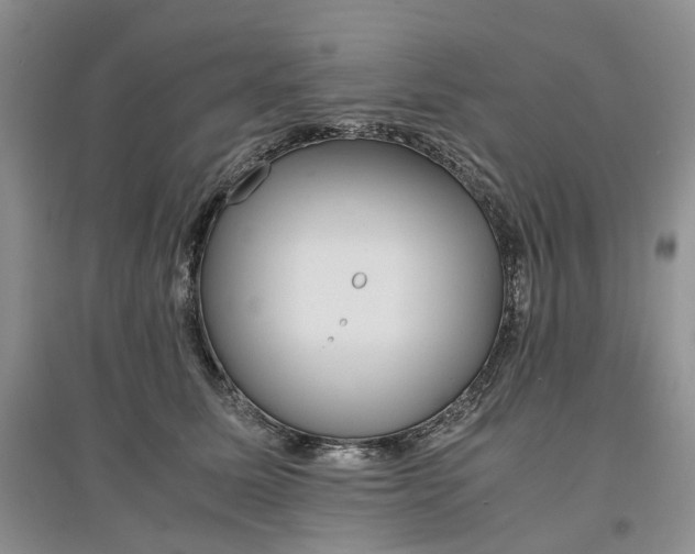 X0000097660611200803142133